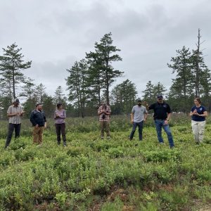 A field trip to the Myles Standish State Forest in Plymouth County in 2025.