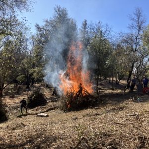 A trip to Sonora, CA, in 2025 to learn about biochar production forestry management.