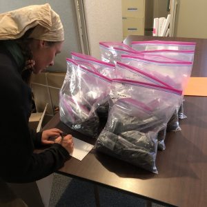 Maggie prepares char samples for testing.